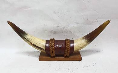 Mounted Steer Bull Cattle Horns W Leather Ties