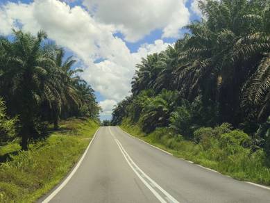 Agricultural Land in Kulai, JHR