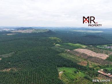 Agricultural Land in Sungai Petani, KDH