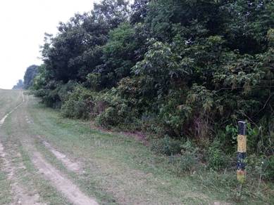 Agricultural Land in Kuantan, PHG