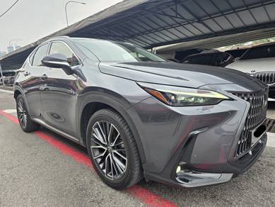 Lexus NX 250 VERSION L in Cheras, KUL