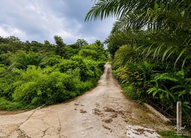 Residential Land in Sungai Buloh, SGR