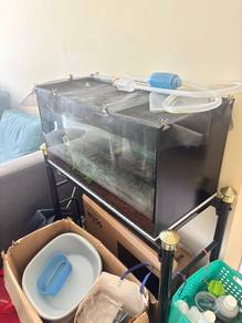 2 ft Aquarium