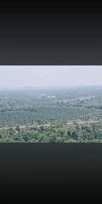 Agricultural Land in Kuantan, PHG