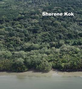 Agricultural Land in Kuching, SWK