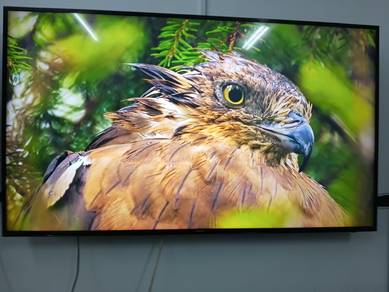 Samsung 65" 4K UHD Smart TV – UA65MU6100 | Used