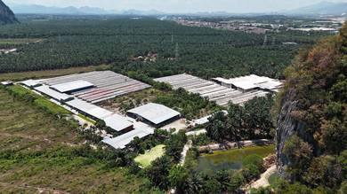 Agricultural Land in Ipoh, PRK