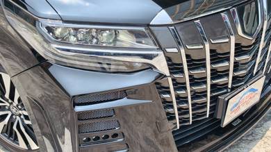 Toyota Alphard SC in Bachang, MLK