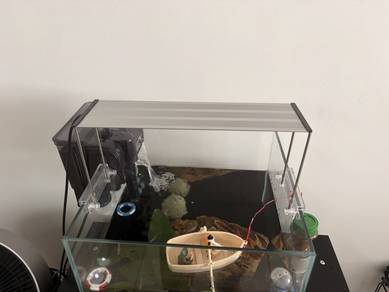 Complete Aquarium Set