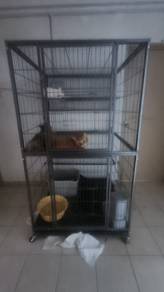 sangkar kucing besar