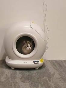 Direct Kilang! New Stock Auto Litter Box
