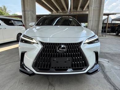 Lexus NX 250 LUXURY in Cheras, KUL
