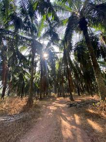 Agricultural Land in Semeling, KDH