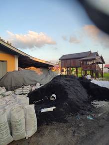 Sekam padi bakar Dan mentah min 300guni