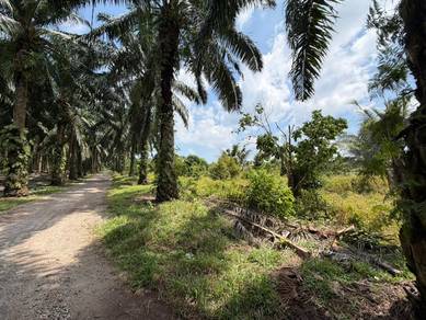Agricultural Land in Jasin, MLK