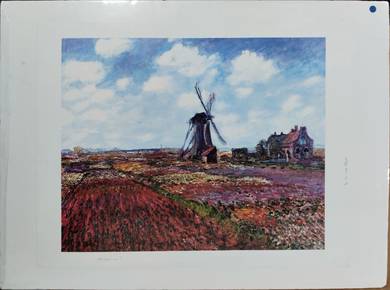Tulip Fields with the Rijnsburg Windmill
