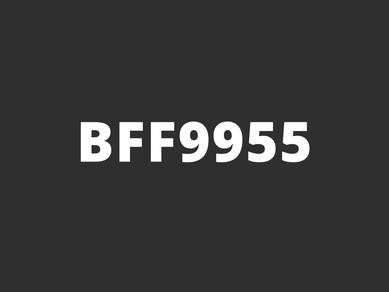 BFF9955