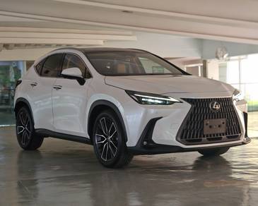 2023 Lexus NX 250 LUXURY