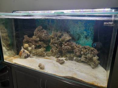 Marine Aquarium for sale