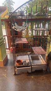 Sangkar Kucing/Cage