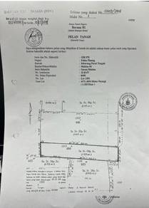 Agricultural Land in Seberang Perai, PNG