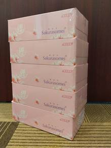 Sakurasomei 4 Ply Tissue Box and Toilet Roll
