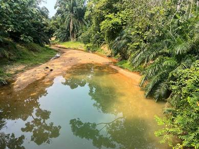Agricultural Land in Rantau, NSN