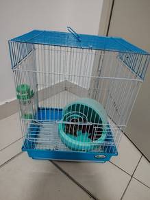 sugarglider