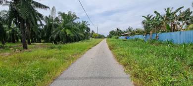 Agricultural Land in Kuala Selangor, SGR