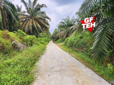 Agricultural Land in Selama, PRK