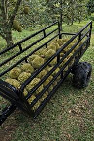 .🔥ATV RANGER GTR 180cc +TRAILER 6 KAKI
