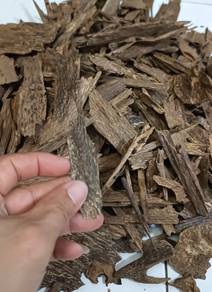 Kayu Gaharu Chip
