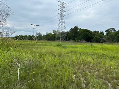 Agricultural Land in Pekan, PHG