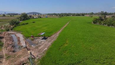 Agricultural Land in Bukit Mertajam, PNG