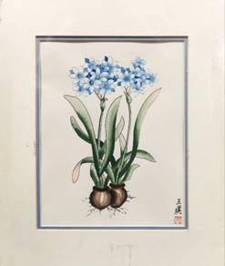 Watercolor Botanical Paintings