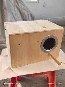 burung cocketail / bird nest box