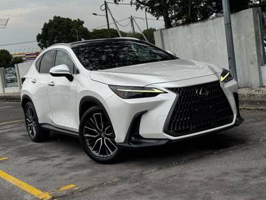 2023 Lexus NX 250 LUXURY