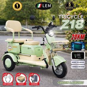 Ebike for sale