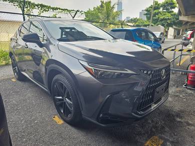 Lexus NX 250 LUXURY in Cheras, KUL