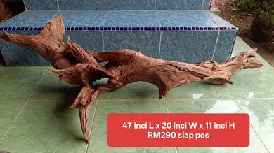 kayu driftwood besar untuk akuarium 6kaki dan FGT