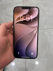 13 pro max 256gb
