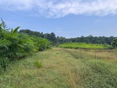 Industrial Land in Tawau, SBH