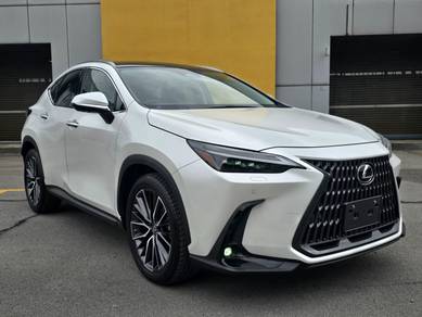 Lexus NX 250 LUXURY in Petaling Jaya, SGR