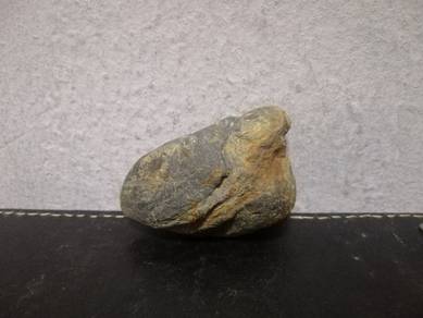 Rare Stone Fish Bird Dog