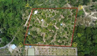 Agricultural Land in Raub, PHG