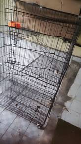accessories kucing