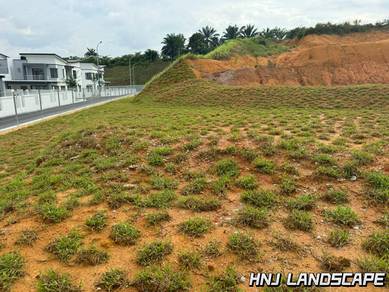 Cow grass Experienced Team • Fast Execution