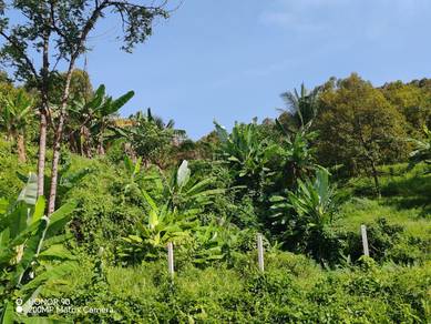 Agricultural Land in Lenggeng, NSN