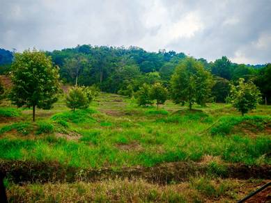Agricultural Land in Tampin, NSN