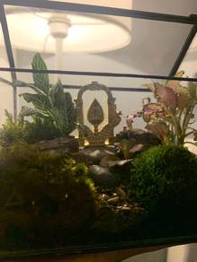 Terrarium Murah JB